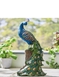 Solar Powered LED Peacock - Multi