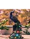 Solar Powered LED Peacock - Multi