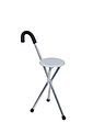 2 in 1 Walking Stick with Seat Silver