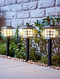 Set of 12 Super Solar Garden Lights - Black