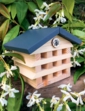 Bee Hotel Gift In A Tin - Multi