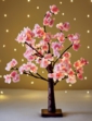 Dark Pink Cherry Blossom Tree - Pink