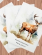 Personalised Pack of 10 Christmas Cards - Multi