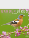 Garden Birds Luxury 2026 2027 Calendar - Multi