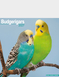 Budgerigars Luxury 2026 2027 Calendar - Multi
