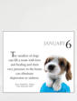 365 Days With My Faithful Dog Calendar - Multi