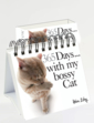 365 Days With My Bossy Cat Calendar - Multi