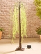 Solar Willow Tree - Green