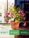 Solar Wisteria Lights - Pink