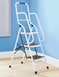 Step Ladders with Safety Rail - White