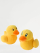Set of 2 Squishy Ducks - Multi