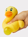 Set of 2 Squishy Ducks - Multi