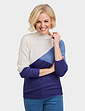 Colour Block Turtle Neck Jumper - Blue