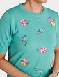 Short Sleeve Embroidered Jumper - Turquoise