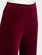 Velour Trouser - Wine