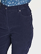 Stretch Cord Jean - Navy