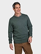 Pegasus Wool Blend Crew Neck Sweater - Forest Green