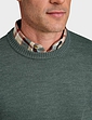 Pegasus Wool Blend Crew Neck Sweater - Forest Green