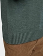 Pegasus Wool Blend Crew Neck Sweater - Forest Green