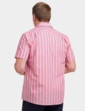 Double Two Short Sleeve Stripe Shirt - Red