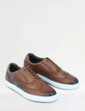 Pegasus Leather Wide Fit Brogue Trainer - Tan