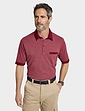 Pegasus Tailored Collar Cotton Polo With Chest Pocket - Burgundy