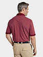 Pegasus Tailored Collar Cotton Polo With Chest Pocket - Burgundy