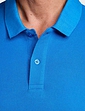 Pegasus 2 Pack Cotton Plain Pique Polo - Royal