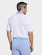 Pegasus 2 Pack Cotton Knitted Pique Polo with Tipping - Sky