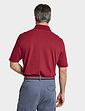 Pegasus 2 Pack Stripe and Plain Pique Polo - Red