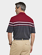 Pegasus 2 Pack Stripe and Plain Pique Polo - Red