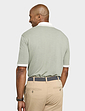 Pegasus Textured Polo - Sage