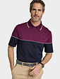 Pegasus Zip Neck Polo - Burgundy