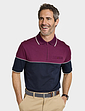 Pegasus Zip Neck Polo - Burgundy