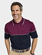 Pegasus Zip Neck Polo - Burgundy