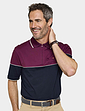 Pegasus Zip Neck Polo - Burgundy