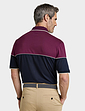 Pegasus Zip Neck Polo - Burgundy