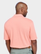 Pegasus 2 Pack Stripe Plain Pique Polo - Coral