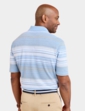 Pegasus 2 Pack Stripe Plain Pique Polo - Sky