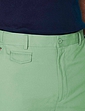 Pegasus Chino Short - Mink