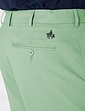 Pegasus Chino Short - Mink