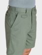 Pegasus Chino Short - Sage