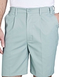 Stain and Water Resistant Cotton Shorts - Mint