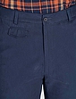 Pegasus Cotton Chino Trouser - Navy