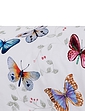 Butterfly Collection - Mul
