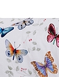 Butterfly Collection - Multi