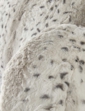 Downland Snow Leopard Cuddle Cushion - Grey