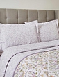 Belledorm Kira Extra Oxford Pillowcases - Multi