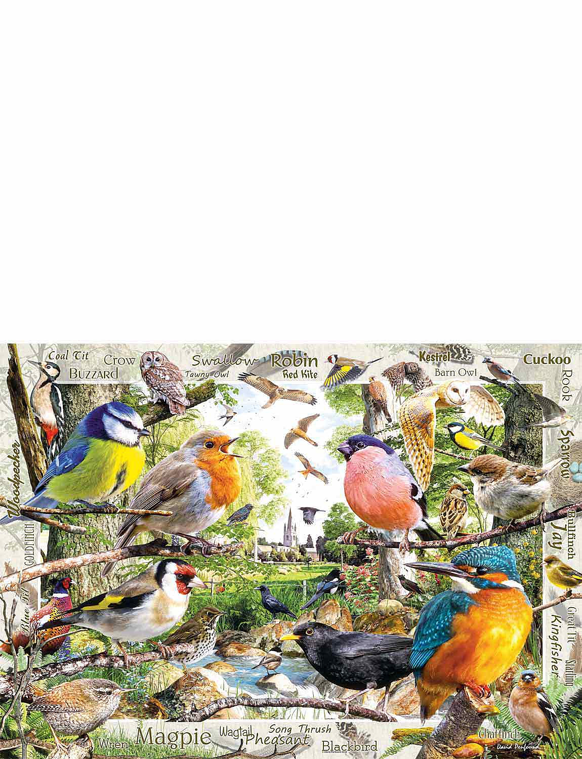 Ravensburger Our Feathered Friends  1000pc Jigsaw Puzzle 