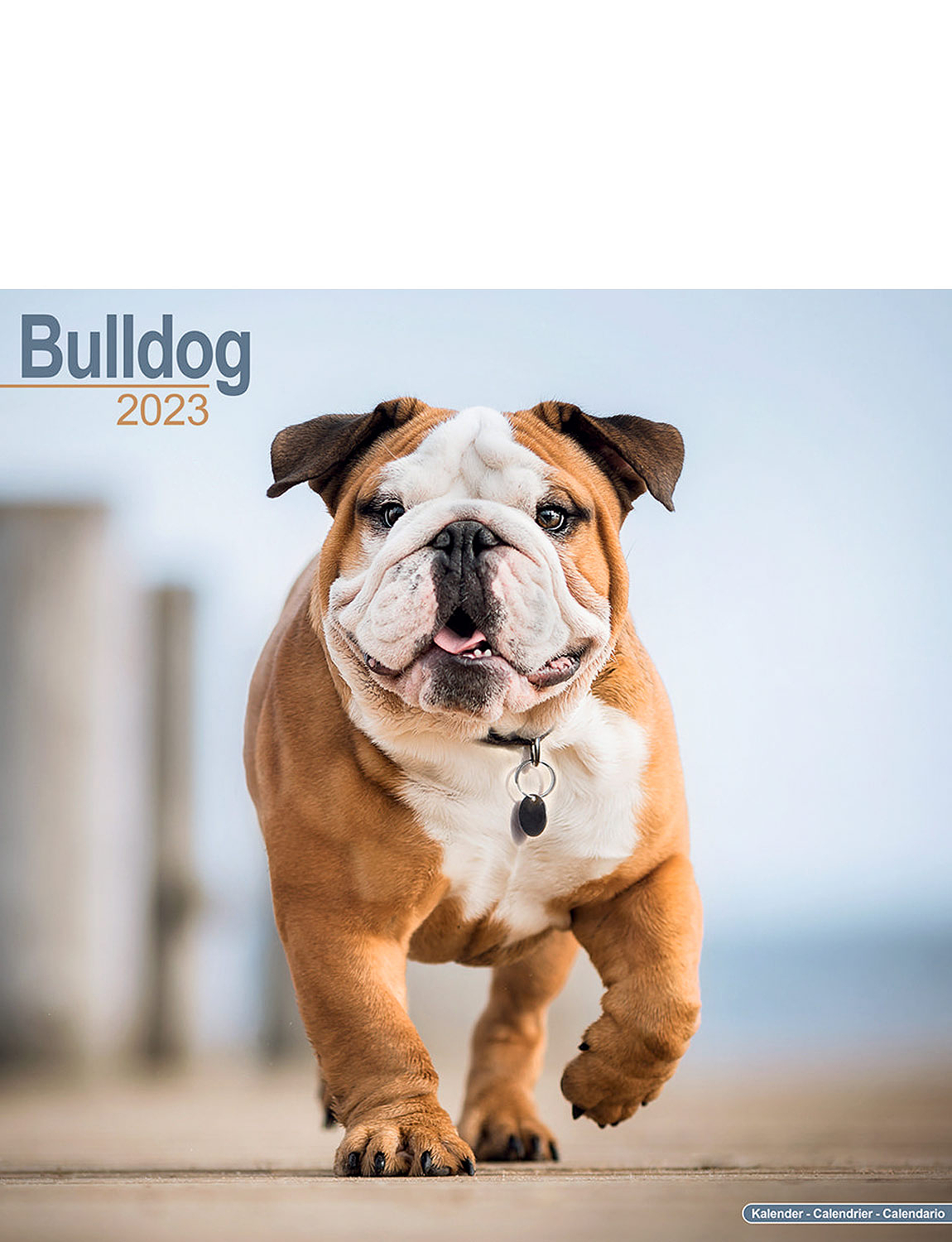 bulldog-2023-luxury-calendar-chums